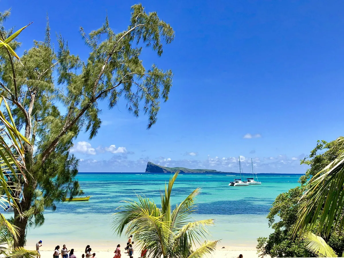 Coin de Mire seen through palm trees from the north coast